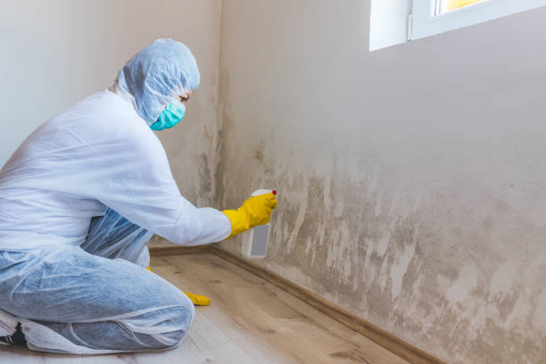 Licensed Mold Remediation service in Little Elm, TX - 24 Hour Mold Removal
