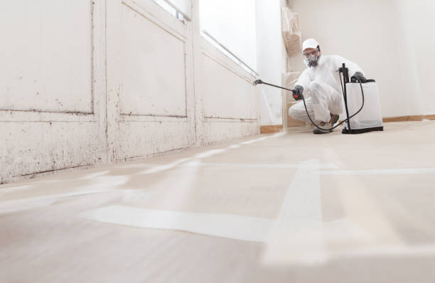 24/7 Emergency Mold Remediation experts in Little Elm, TX